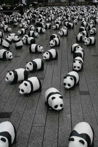 1600 pandas
