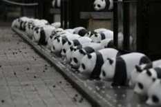 1600 pandas